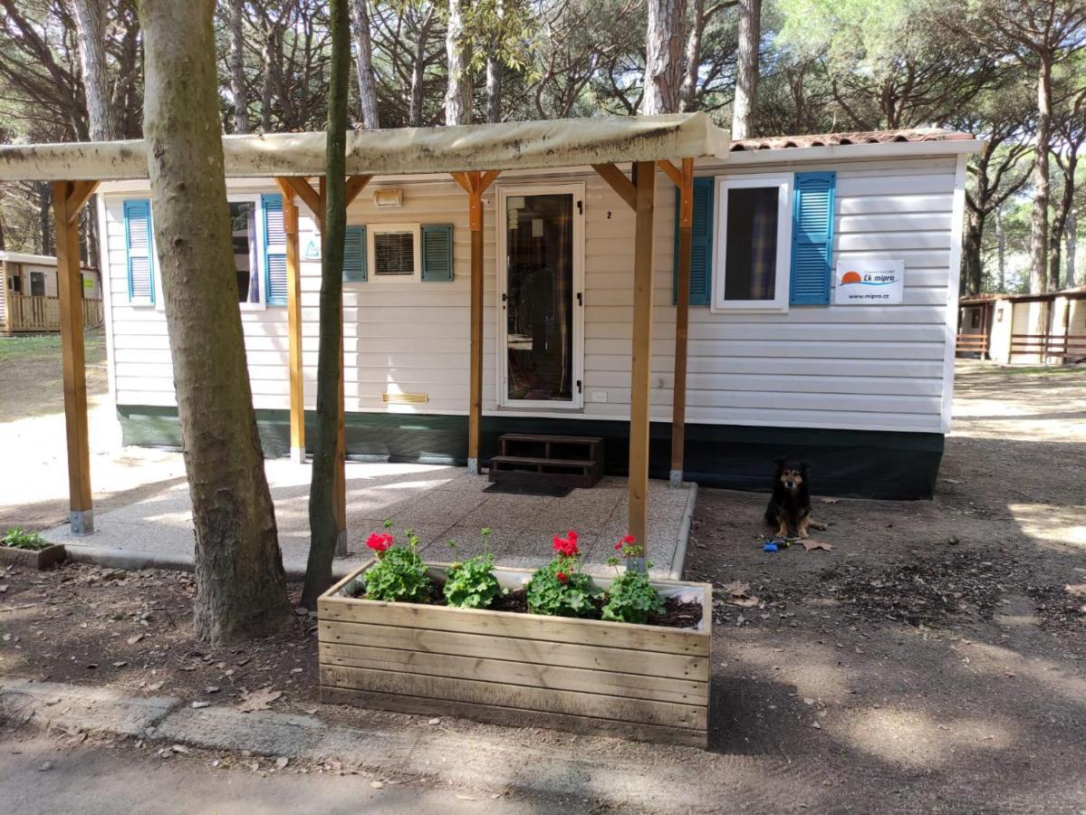 Mipro Mobilhome 5 Дом отдыха